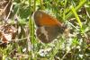259416 – Photo : Juliane Casquet – France (81)